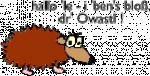 © 2002 owainfo