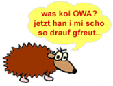 © 2020 owainfo