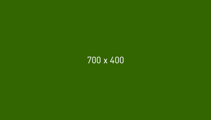 banner-dummy_700x400-gruen