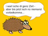© 2025 owainfo